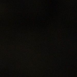 Meet your Posher, Daphne